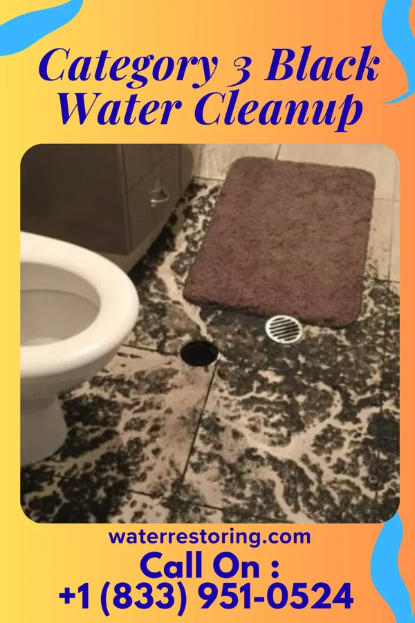 Category 3 Black Water Cleanup in Sharpsville, PA