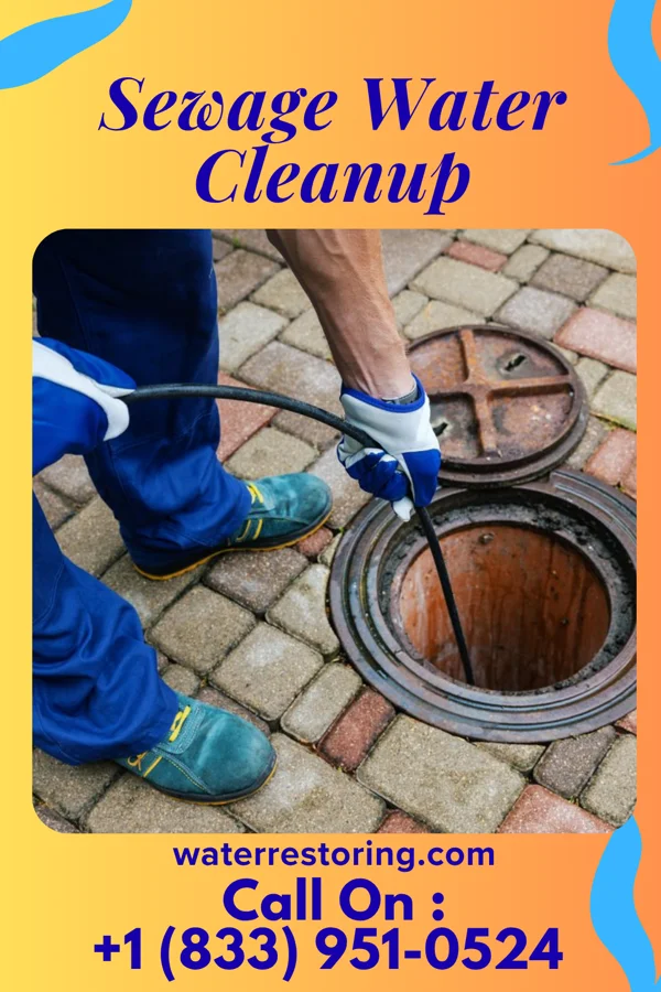Sewage Water Cleanup in Sharpsville, PA