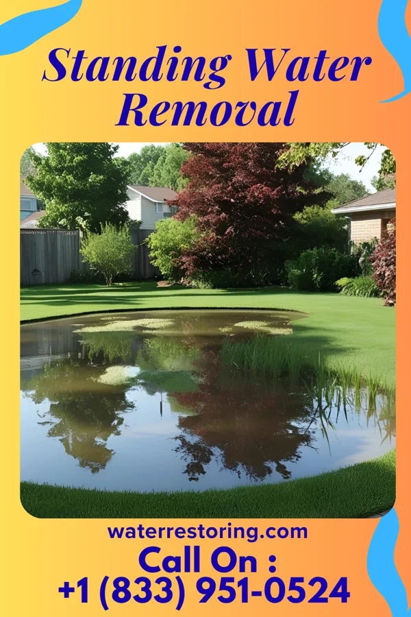 Standing Water Removal in Sharpsville, PA